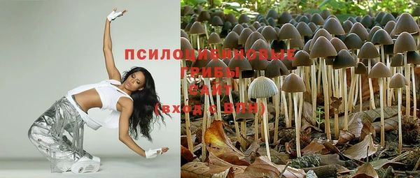 прущие крисы Мегион