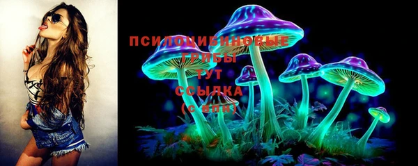 герыч Медногорск