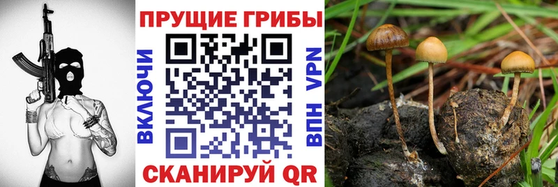 Псилоцибиновые грибы Magic Shrooms  Дно 